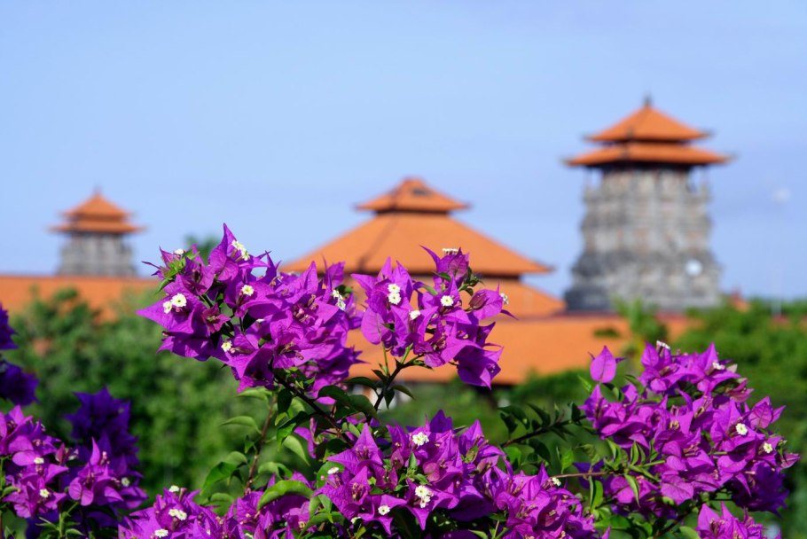 Цветы Восточной Азии