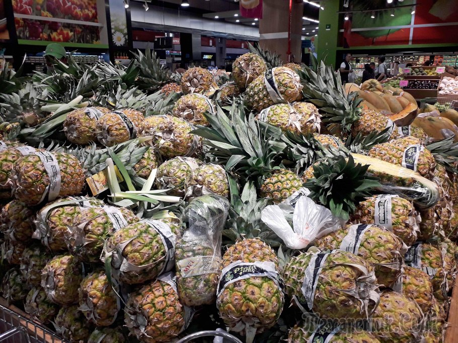 Вашингтония нитеносная