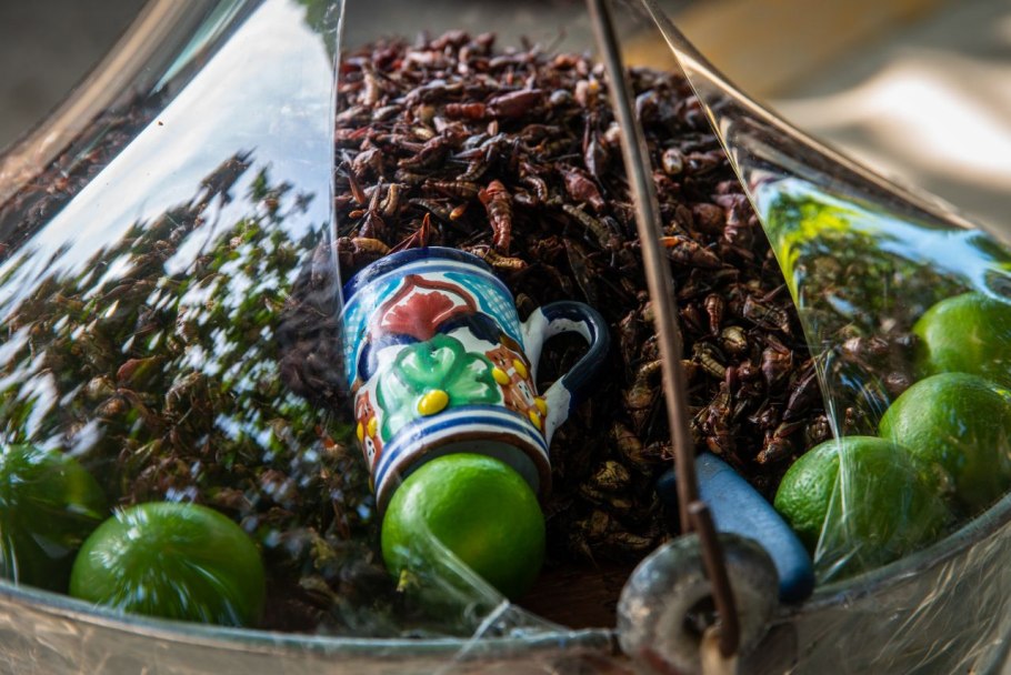 Блюда из кактуса Мексика