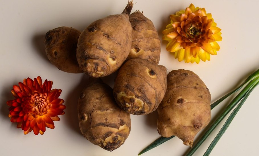 Дикая картошка топинамбур