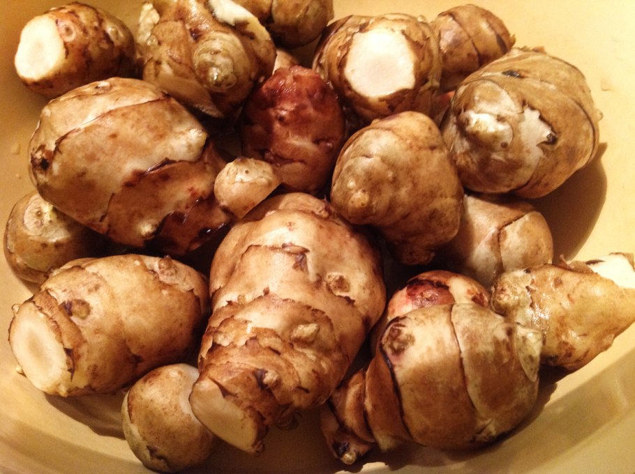 Земляной картофель топинамбур