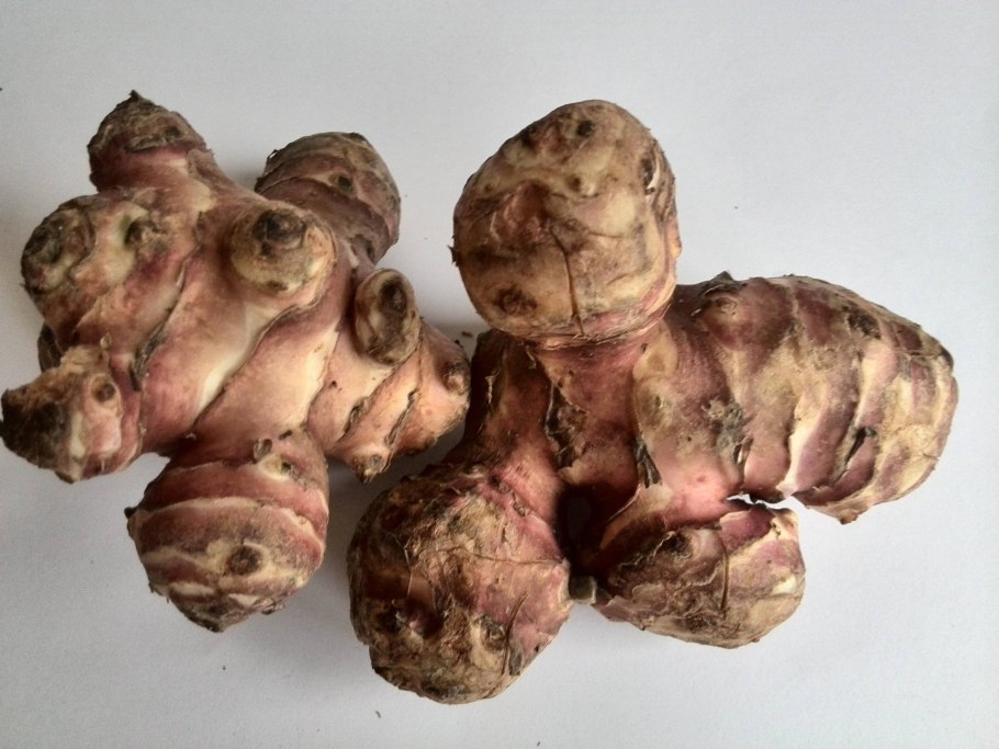 Бергамот топинамбур