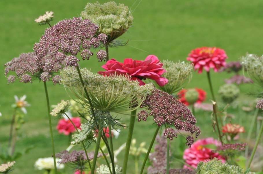 Пит Удольф натургарден