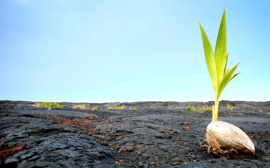 А жизнь продолжается