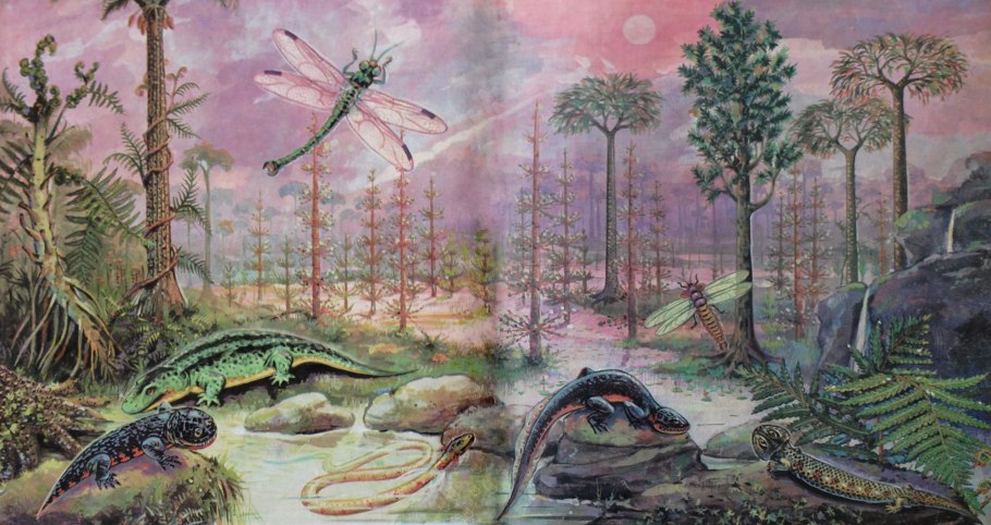 Карбон период палеозойской эры