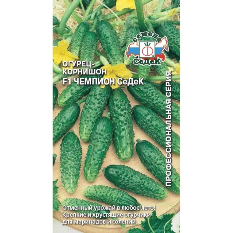 Огурец чемпион f1 СЕДЕК