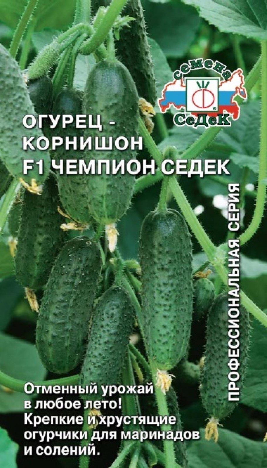 Огурец Сибирский Скороход