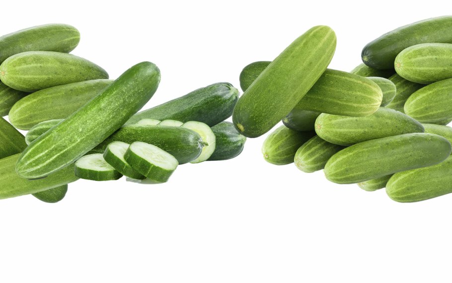 Огурец Атлантис f1