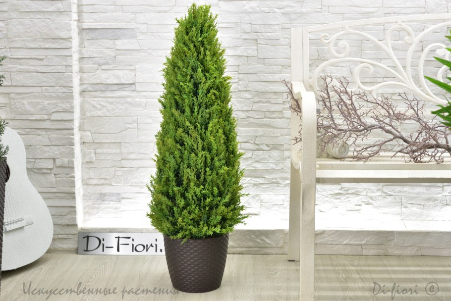 Лавсона Элвуди