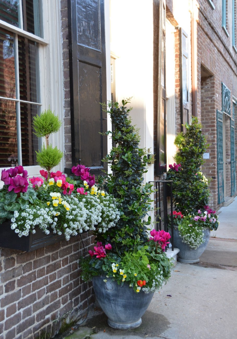 Цветы в кашпо на балконе