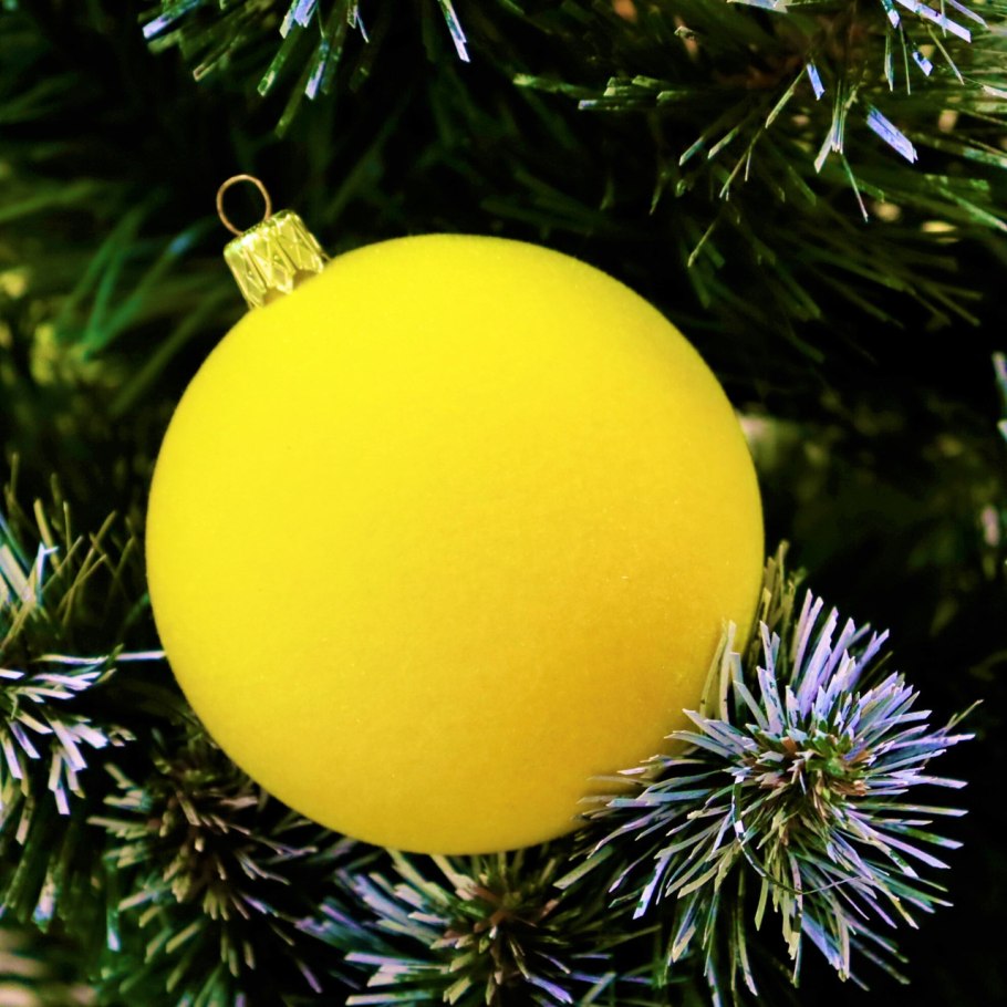 Гинкго билоба дерево желтое