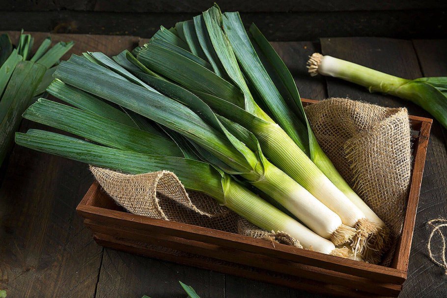 Всходы лука Эксибишен