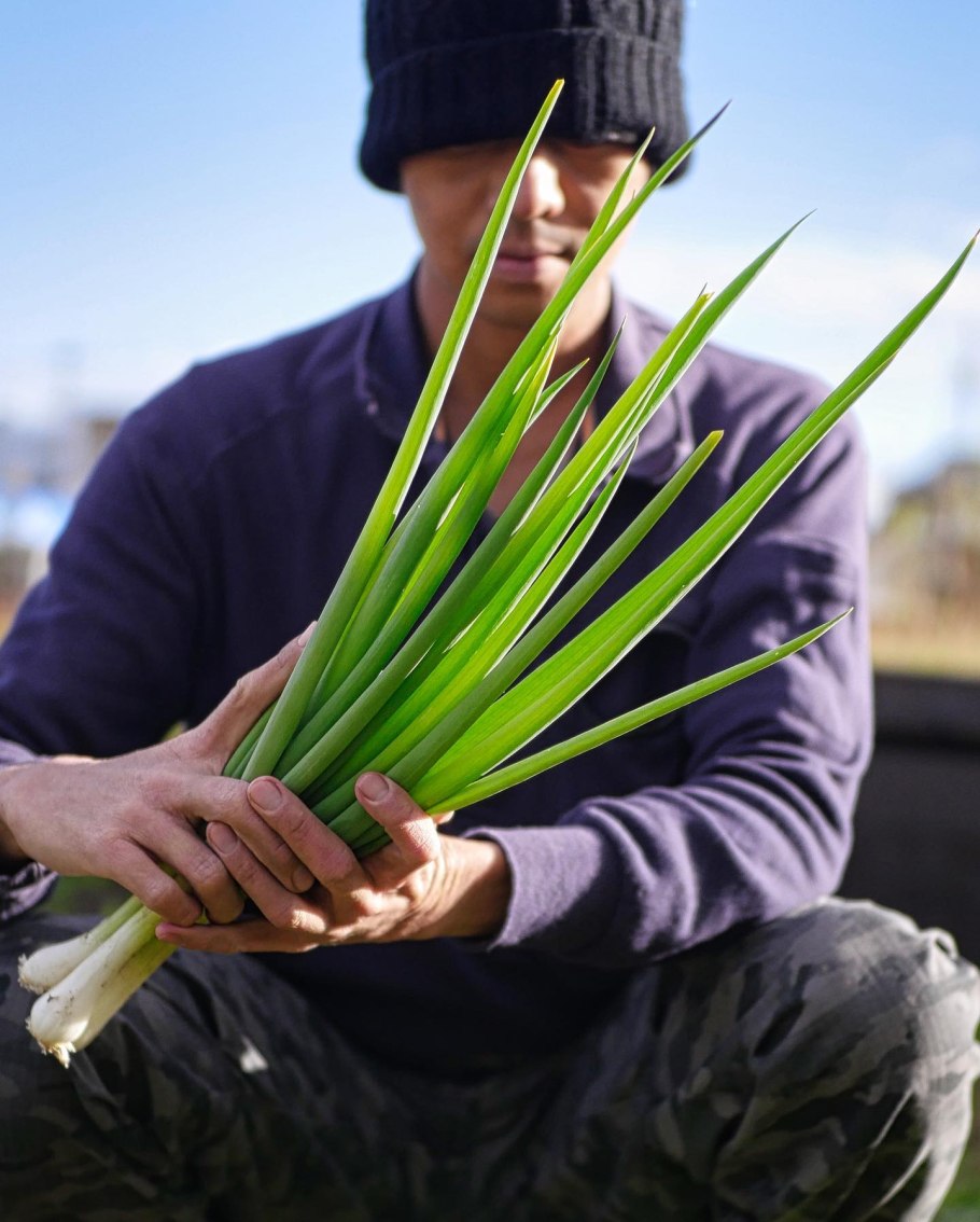 Лук порей в Подмосковье