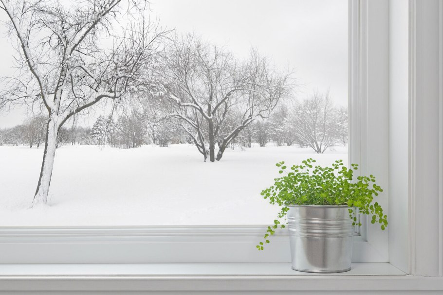 Зимний вид из окна