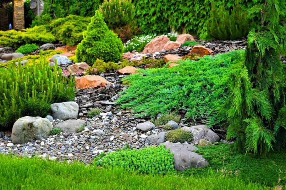 Рокарий горный ручей