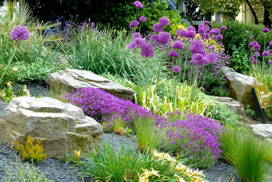 Рокарий Каменистый сад