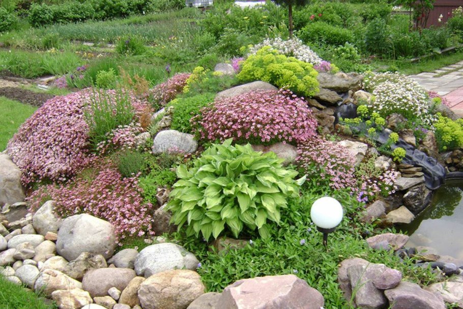 Каменистые сады Альпийская горка