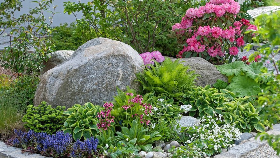 Растения альпинарии, Альпийская горка