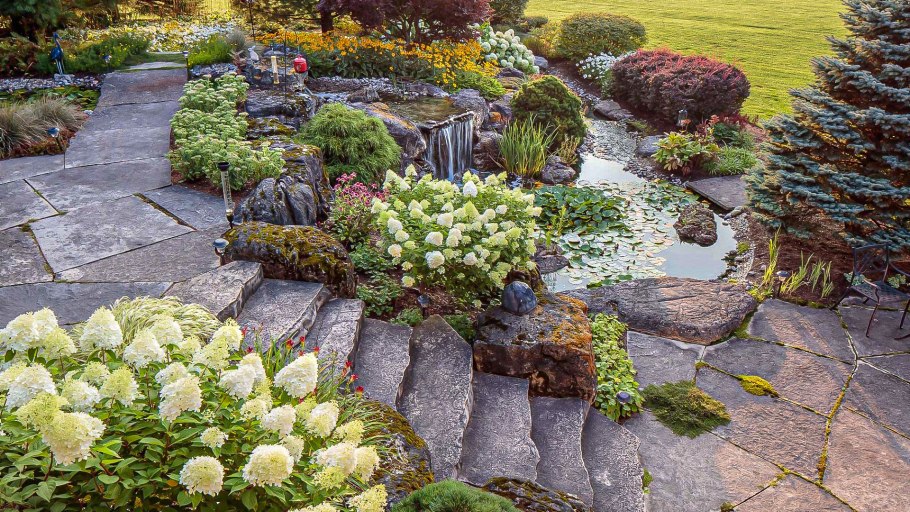 Садовый бонсай ниваки