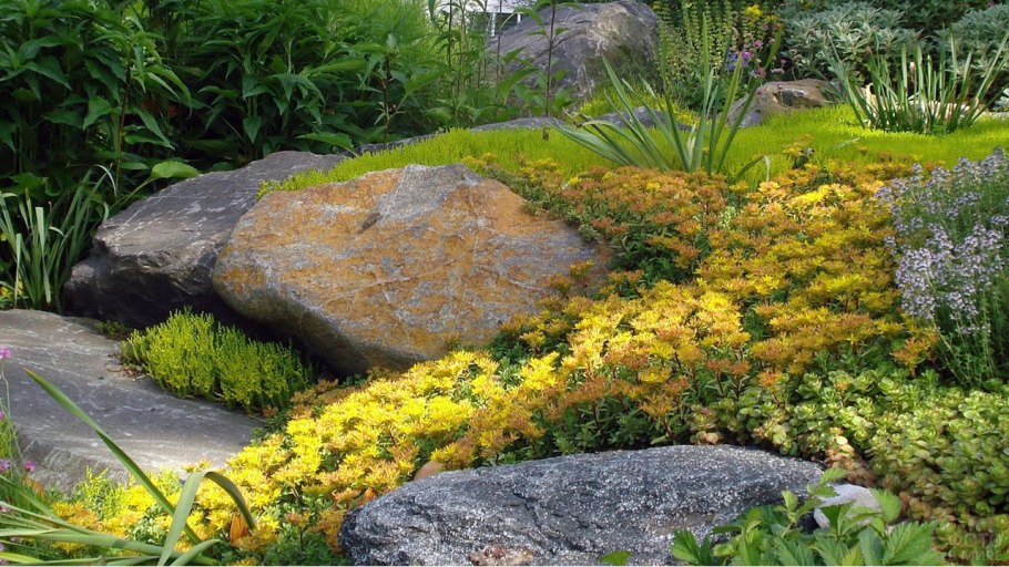 Каменистые сады Альпийская горка