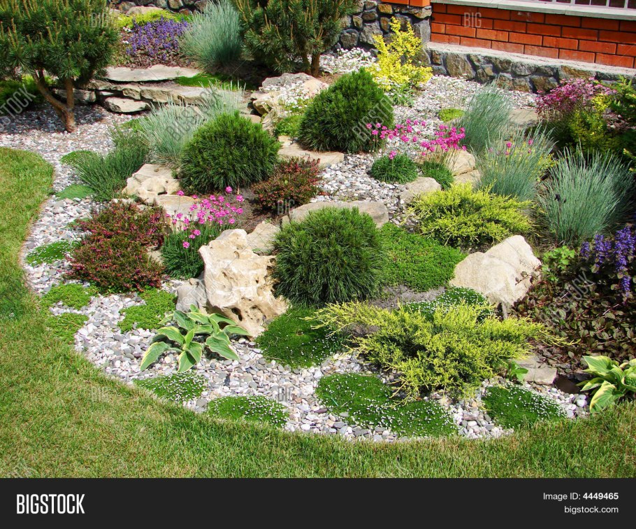 Клумба рокарий