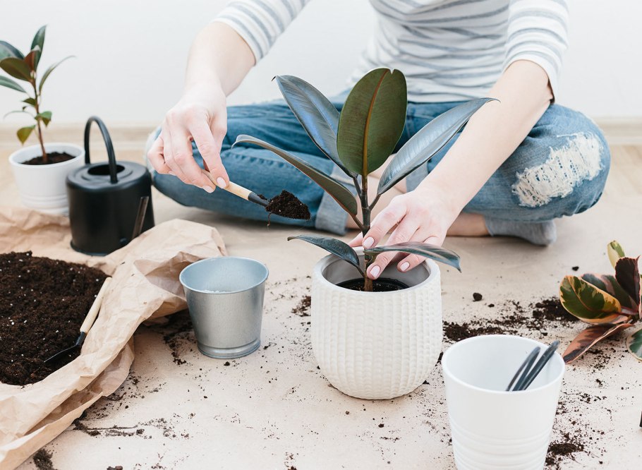 Топиарий из мха