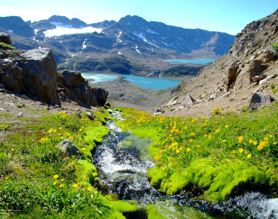 Арктические пустыни остров Врангеля