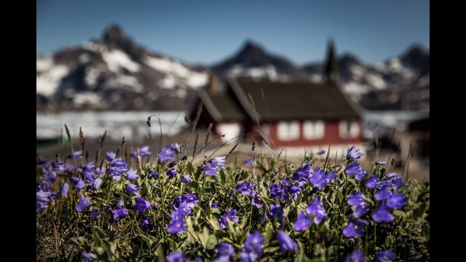 Гренландский национальный парк площадь