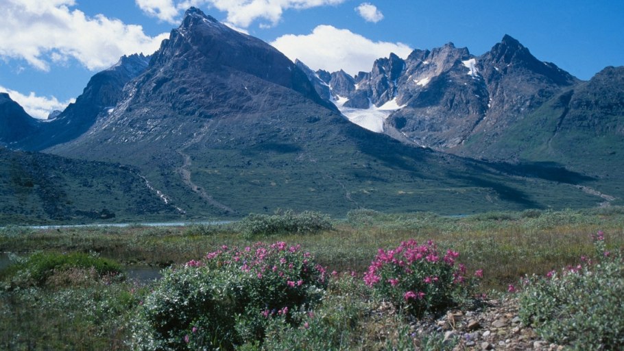 Гренландия тундра