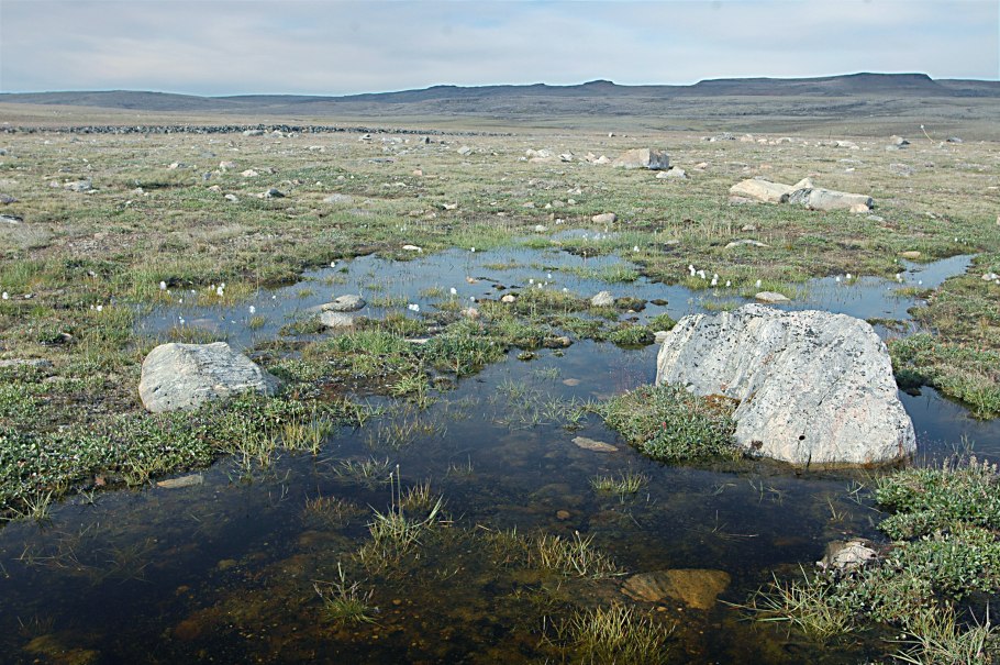 Национальный парк Северо-Восточной Гренландии