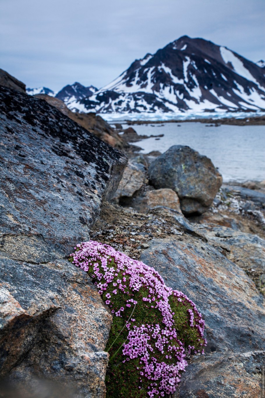 Кольский полуостров и Таймыр