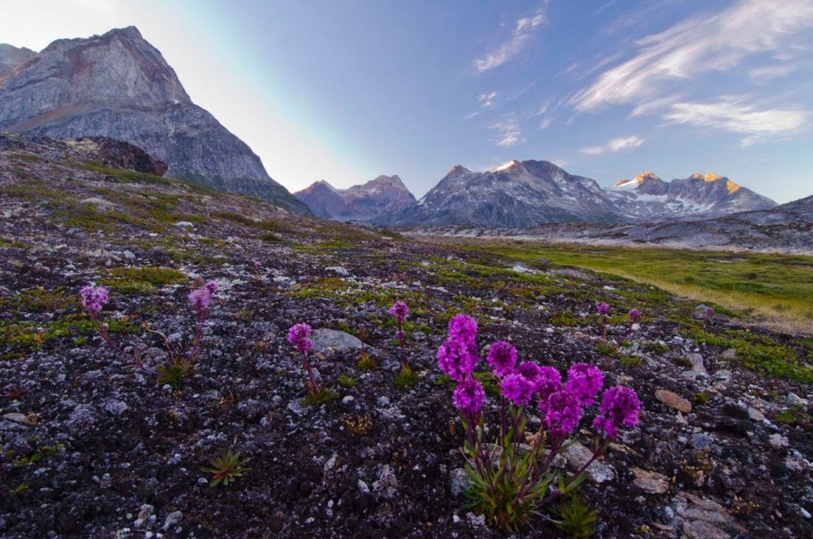 Долина Кинкуа Гренландия