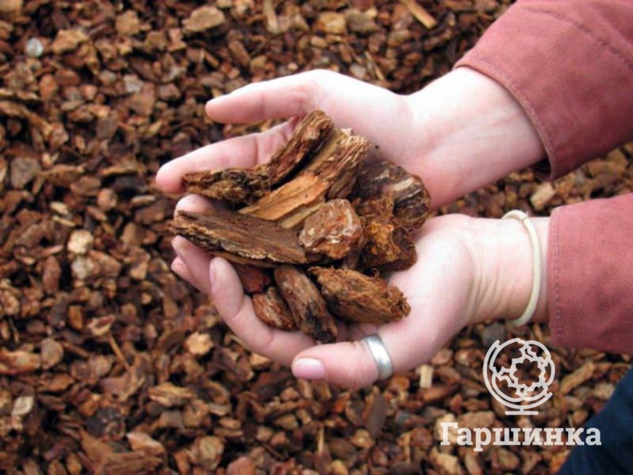 Кора сосны для мульчирования