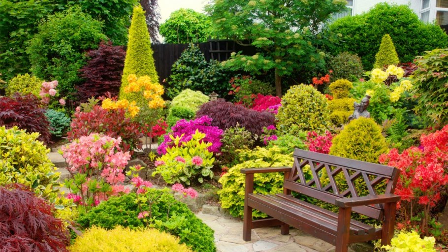 Хелен парк+ ландшафт