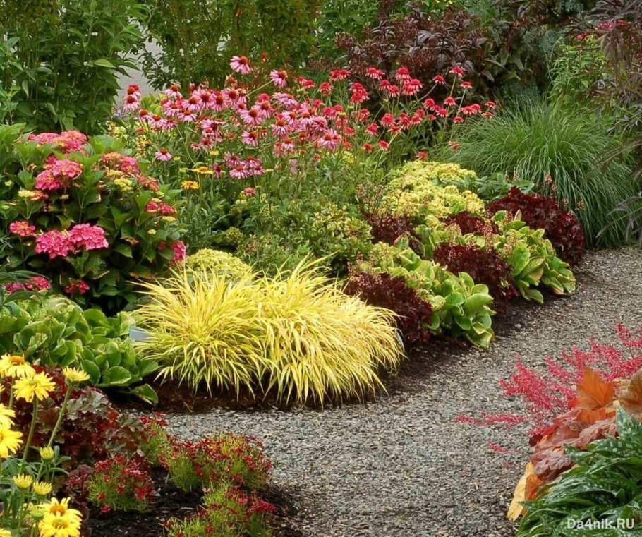 Лилейники с очитком