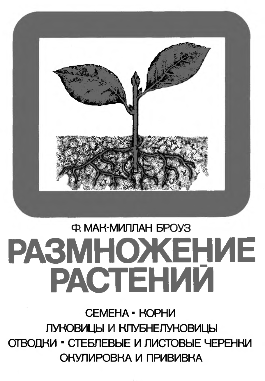 Бесполое размножение растений