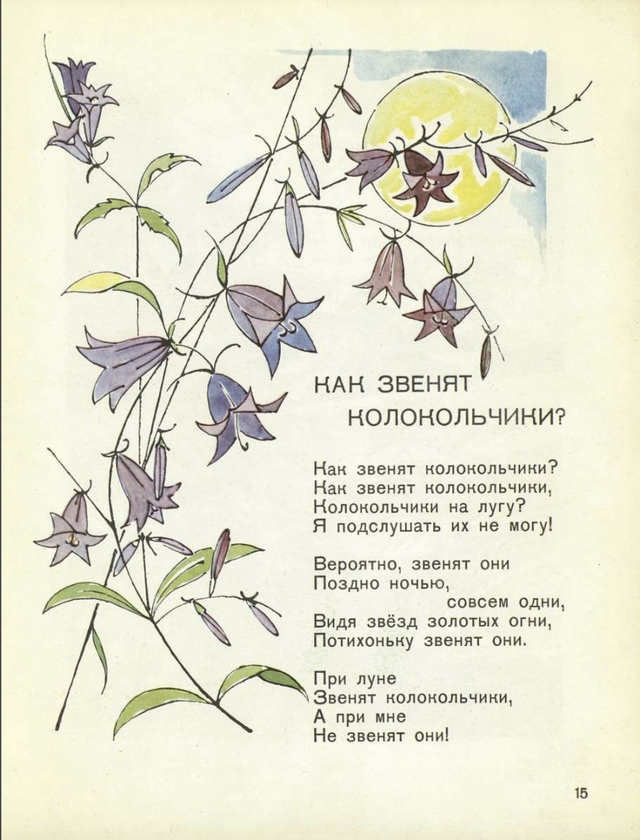 Campanula sibirica l.