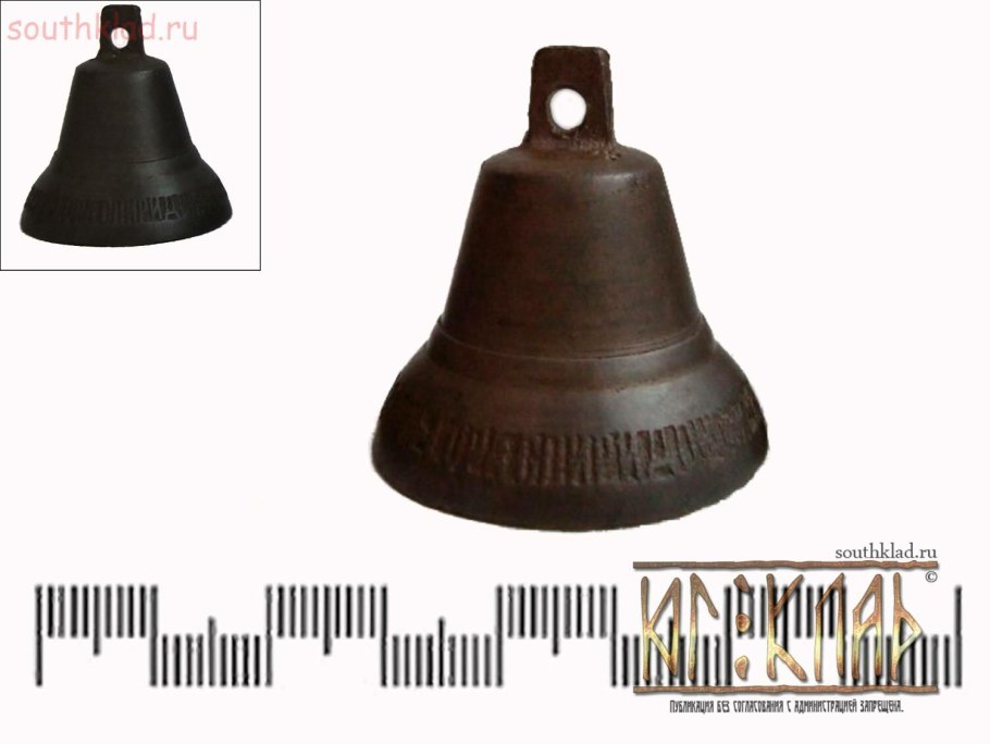 Растение с голубыми цветками похожие на колокольчики