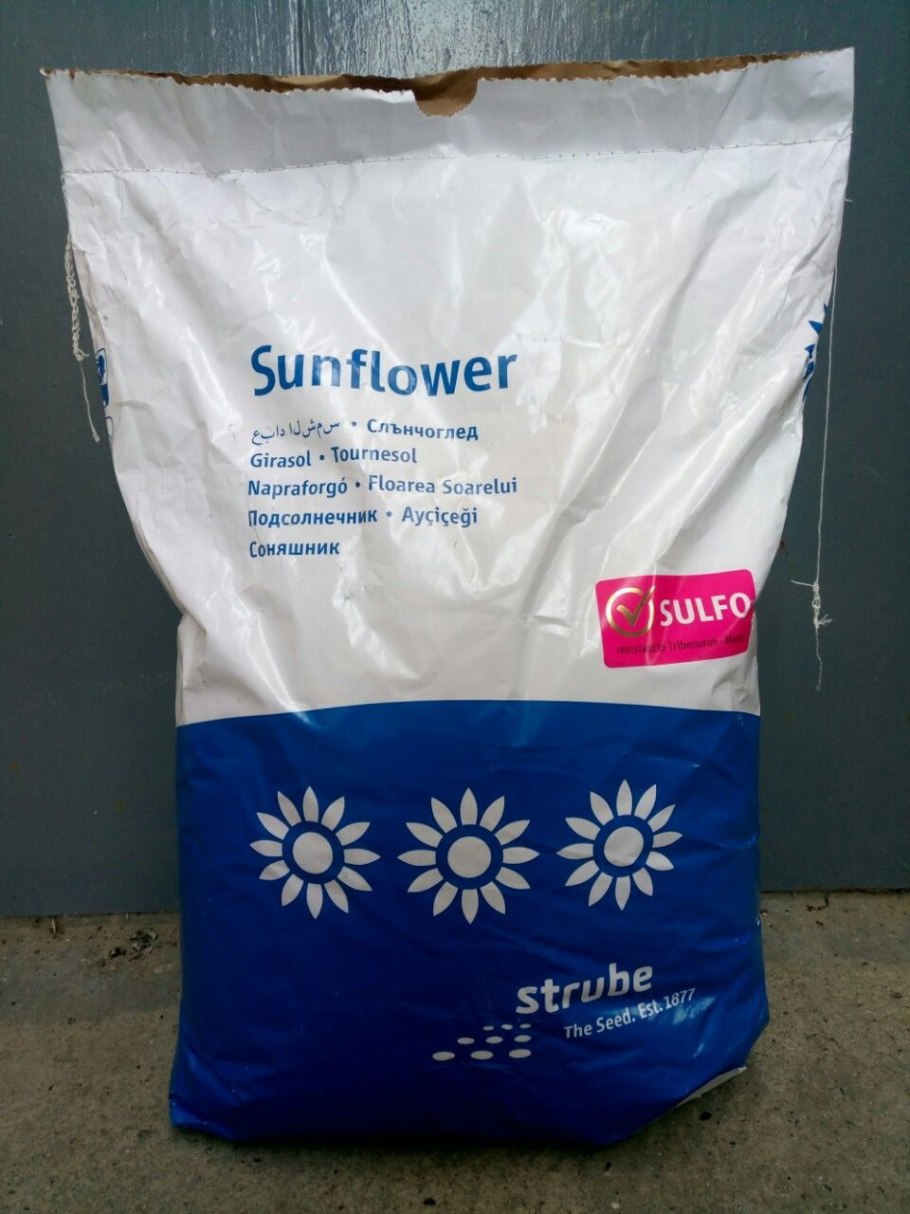 Медопродуктивность сортов подсолнечника