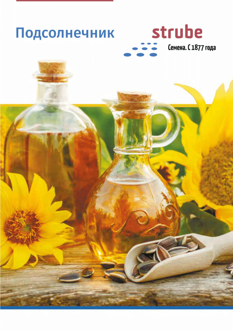 Гибриды Штрубе подсолнечника