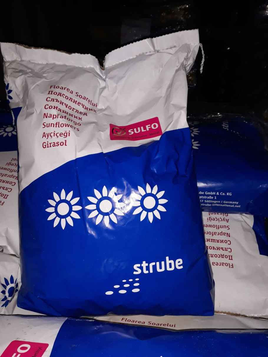 Как должны стоять Подсолнухи