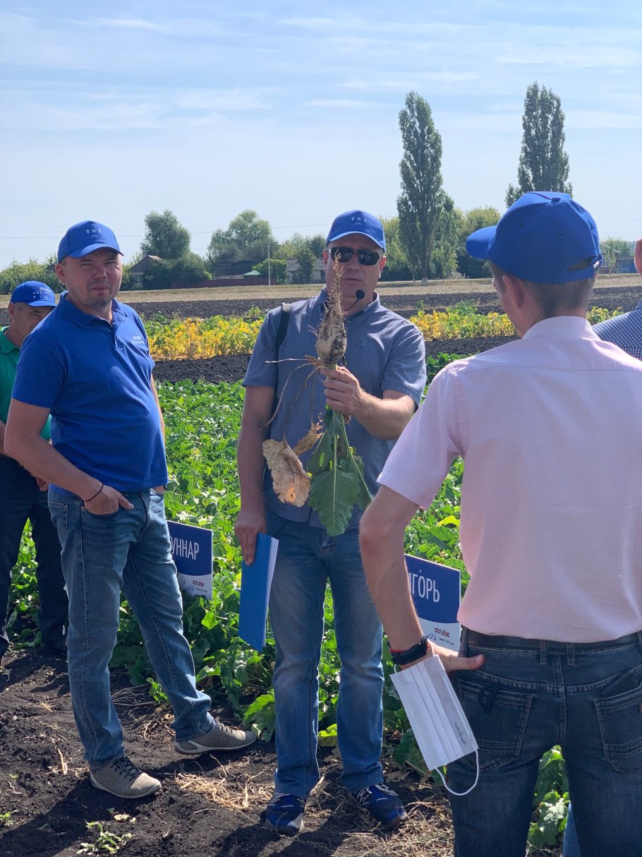Гелиантус Дон Жуан