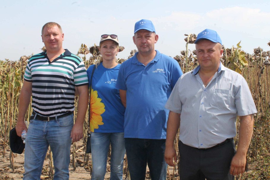 Семена сахарной свеклы Штрубе