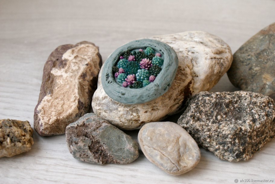 Литопс живые камни