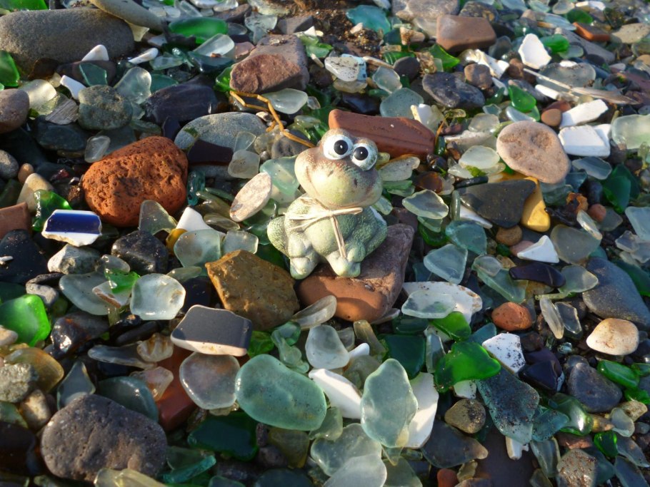 Морская трава растения на камнях