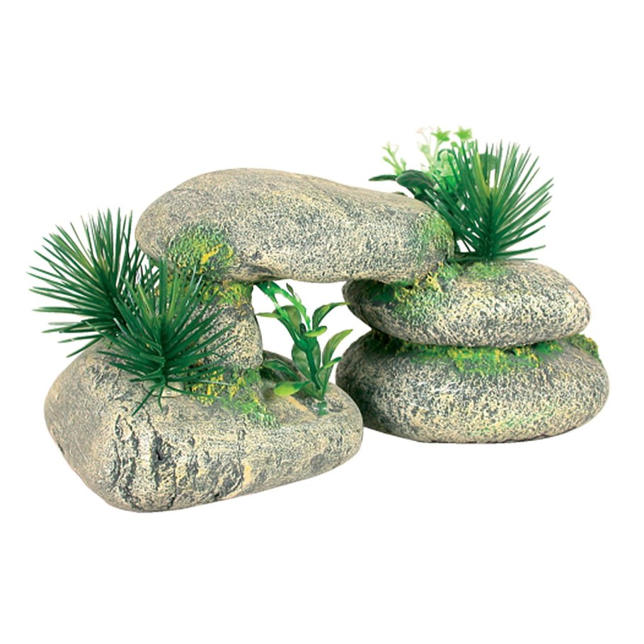 Росток сквозь асфальт