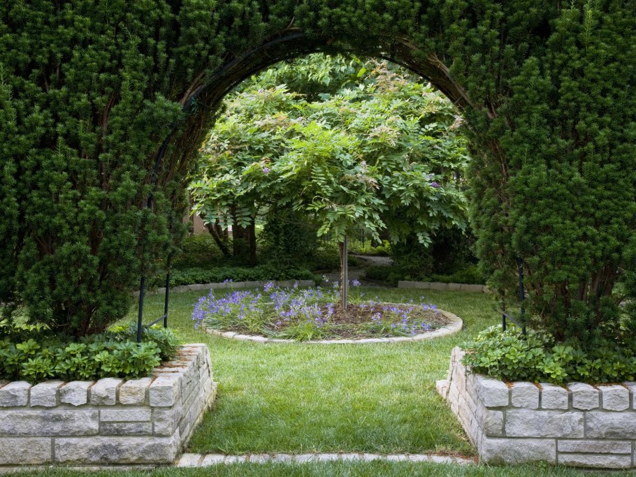 Тис в ландшафтном дизайне сада