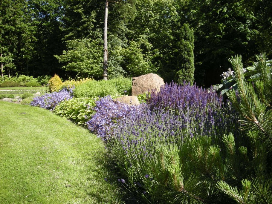 Сад ароматических трав