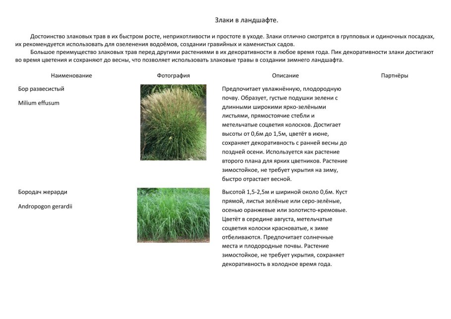 Технология возделывания многолетних злаковых трав на сено