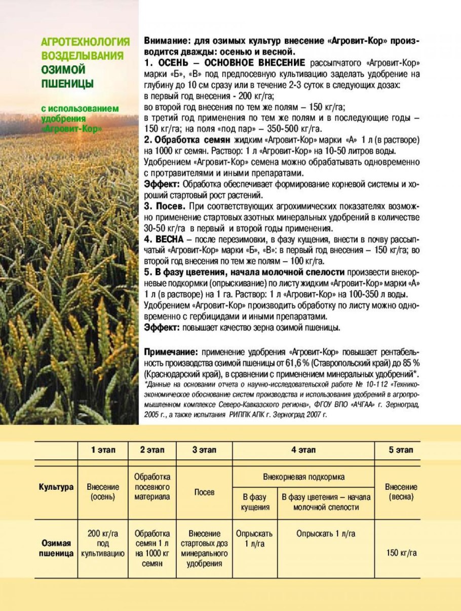 Злаковые луговые травы